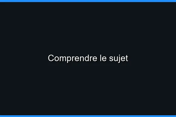Comprendre le sujet