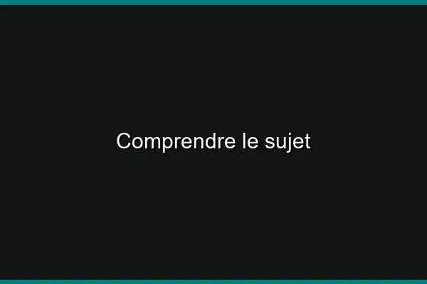 Comprendre le sujet
